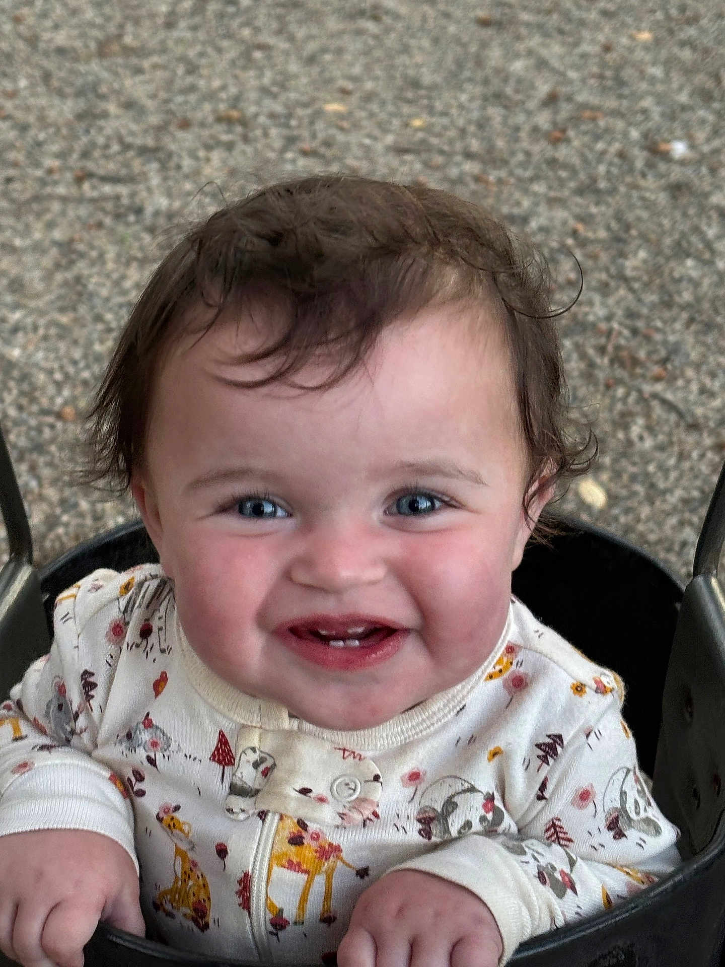 Amara is registered to the contest to win money with this photo: baby, child, smile, face, swing, outdoor, onesie, animal_print, hand, happy, young_child, curly_hair, cute, playground, infant, joy, cheeks, person, portrait, seat