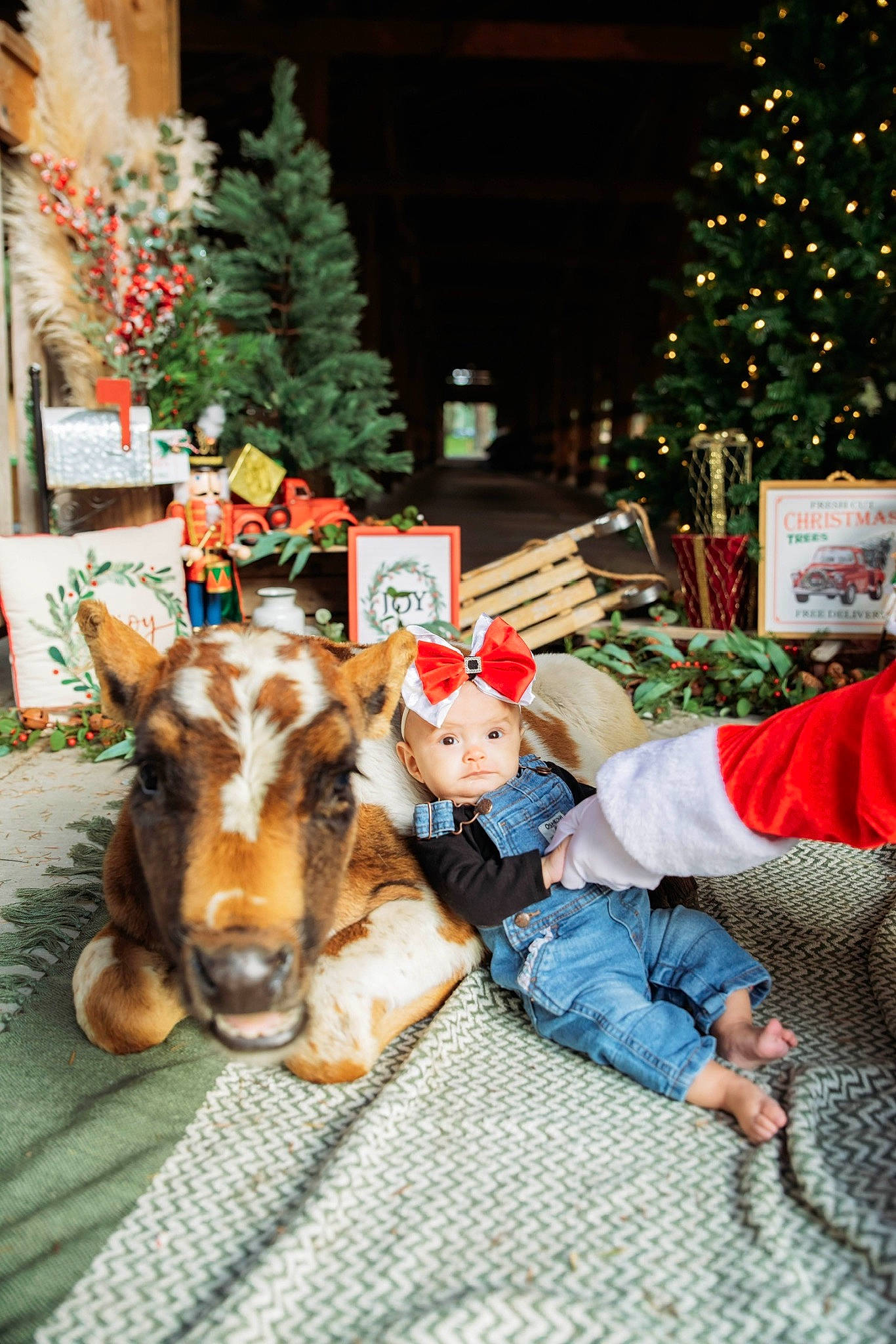 Kaidyn joined the competition — help win amazing prizes! christmas, christmas_decoration, christmas_eve, christmas_ornament, christmas_tree, deer, event, fawn, fun, happy, head, headwear, holiday, holiday_ornament, human_body, ornament, person, plant, tradition, tree