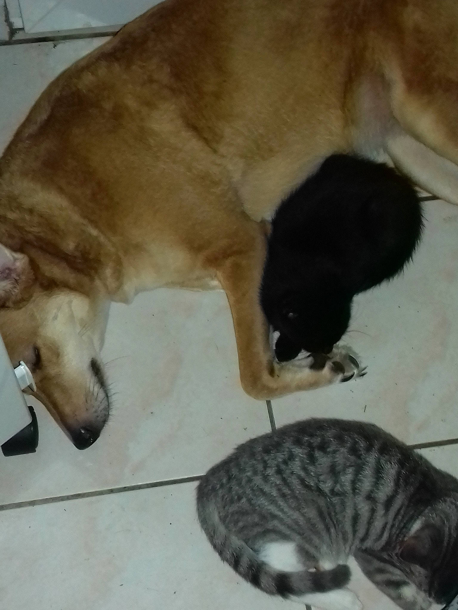 Adi a rejoint le concours — aidez-le/la à gagner de superbes lots !