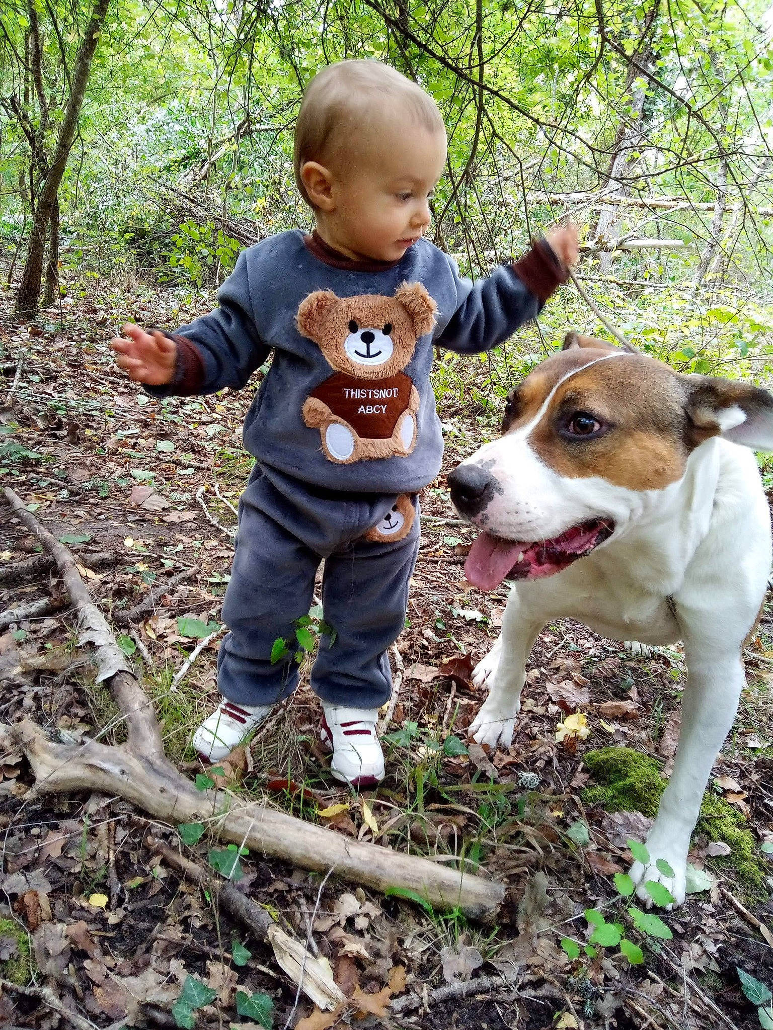 Maelan participe au concours pour gagner de l'argent avec cette photo : adventure, baby_toddler_clothing, canidae, carnivore, child, companion_dog, dog, dog_breed, forest, grass, hound, people_in_nature, person, plant, soil, sporting_group, toddler, trail, tree, walking