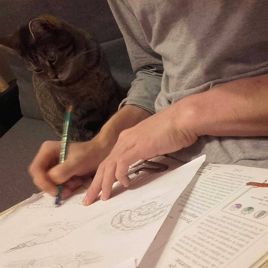 Bambou participe au concours pour gagner de l'argent avec cette photo : art, artist, cat, finger, font, gesture, hand, handwriting, nail, office_instrument, office_supplies, pen, stationery, t_shirt, table, tree, wood, writing, writing_implement, writing_instrument_accessory