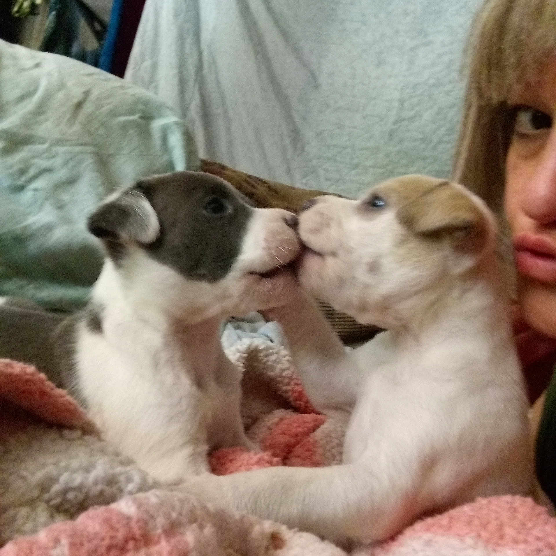 Lilly And Tilly