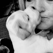 Lilly And Tilly is registered to the contest to win money with this photo: puppy, dog, person, face, kiss, affection, black_and_white, blur, closeup, love, pet, animal, cuddle, snout, nose, eyes, expression, indoor, intimate, portrait