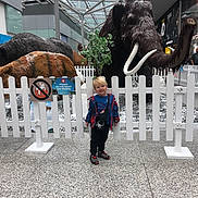 Cody is registered to the contest to win money with this photo: child, boy, indoor, museum, display, woolly_mammoth, prehistoric_animals, white_fence, smiling, blue_jacket, black_pants, shoes, exhibit, shopping_mall, sign, modern_architecture, glass_roof, floor_tiles, bag, curious
