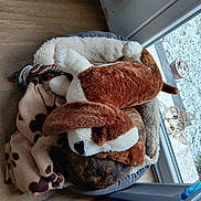 Gip participe au concours pour gagner de l'argent avec cette photo : dog, stuffed_toy, blanket, pet_bed, wooden_floor, cat, window, curious_cat, indoor, plush_toy, pet, animal, tabby_cat, door, snow_outside, cozy, fur, resting, playful, home