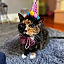 cat, calico_cat, party_hat, bow_tie, pet, indoor, furry, animal, cute, celebration, costume, feline, whiskers, close_up, soft_focus, carpet, domestic_animal, adorable, fun, colorful