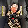 baby, infant, car_seat, leopard_print, onesie, hat, turban, stripes, buckle, black, pink, clothing, child, newborn, seatbelt, safety, cute, portrait, indoor, person