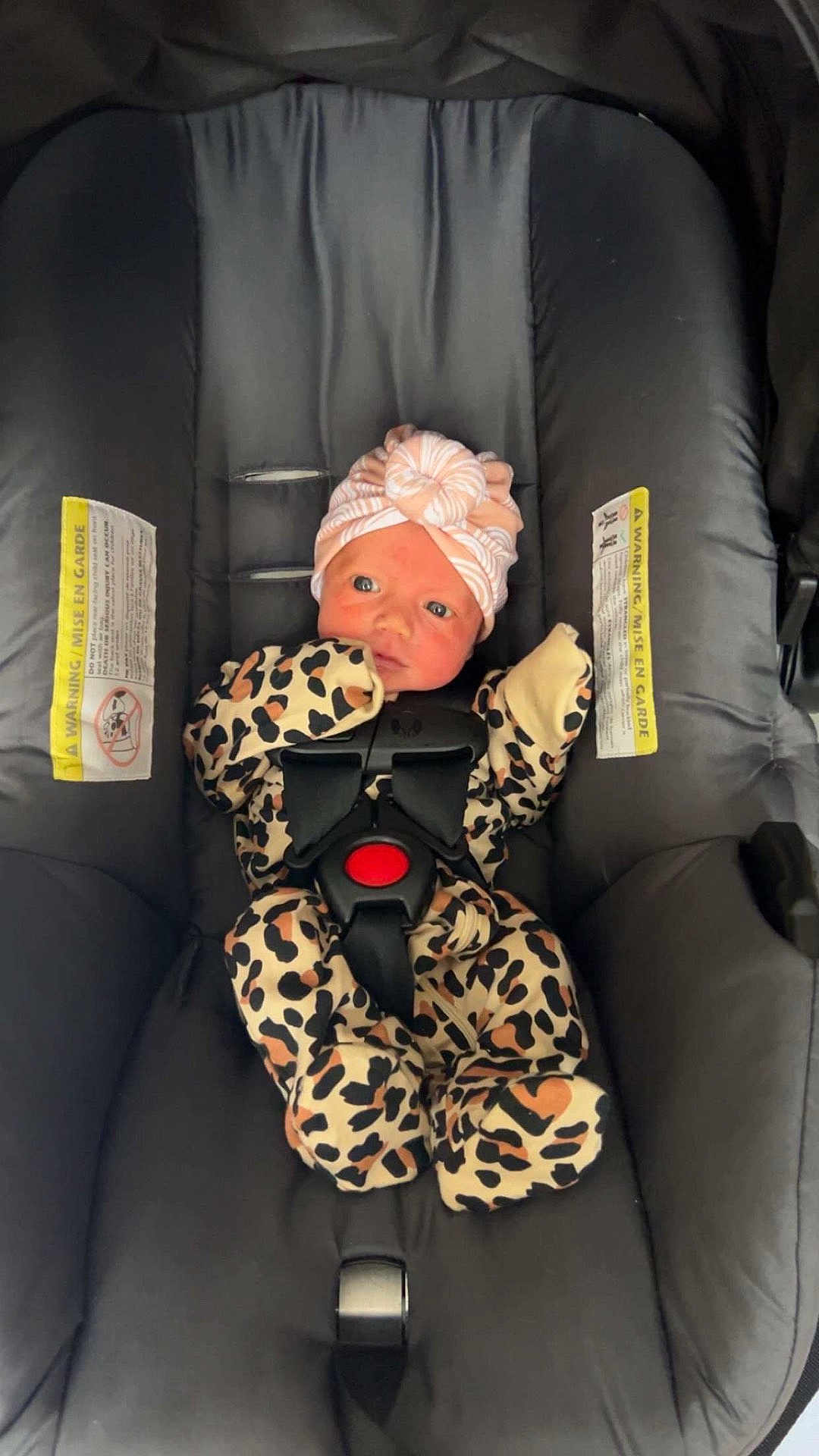 Mckaylynn joined the competition — help win amazing prizes! baby, infant, car_seat, leopard_print, onesie, hat, turban, stripes, buckle, black, pink, clothing, child, newborn, seatbelt, safety, cute, portrait, indoor, person