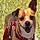 Milou