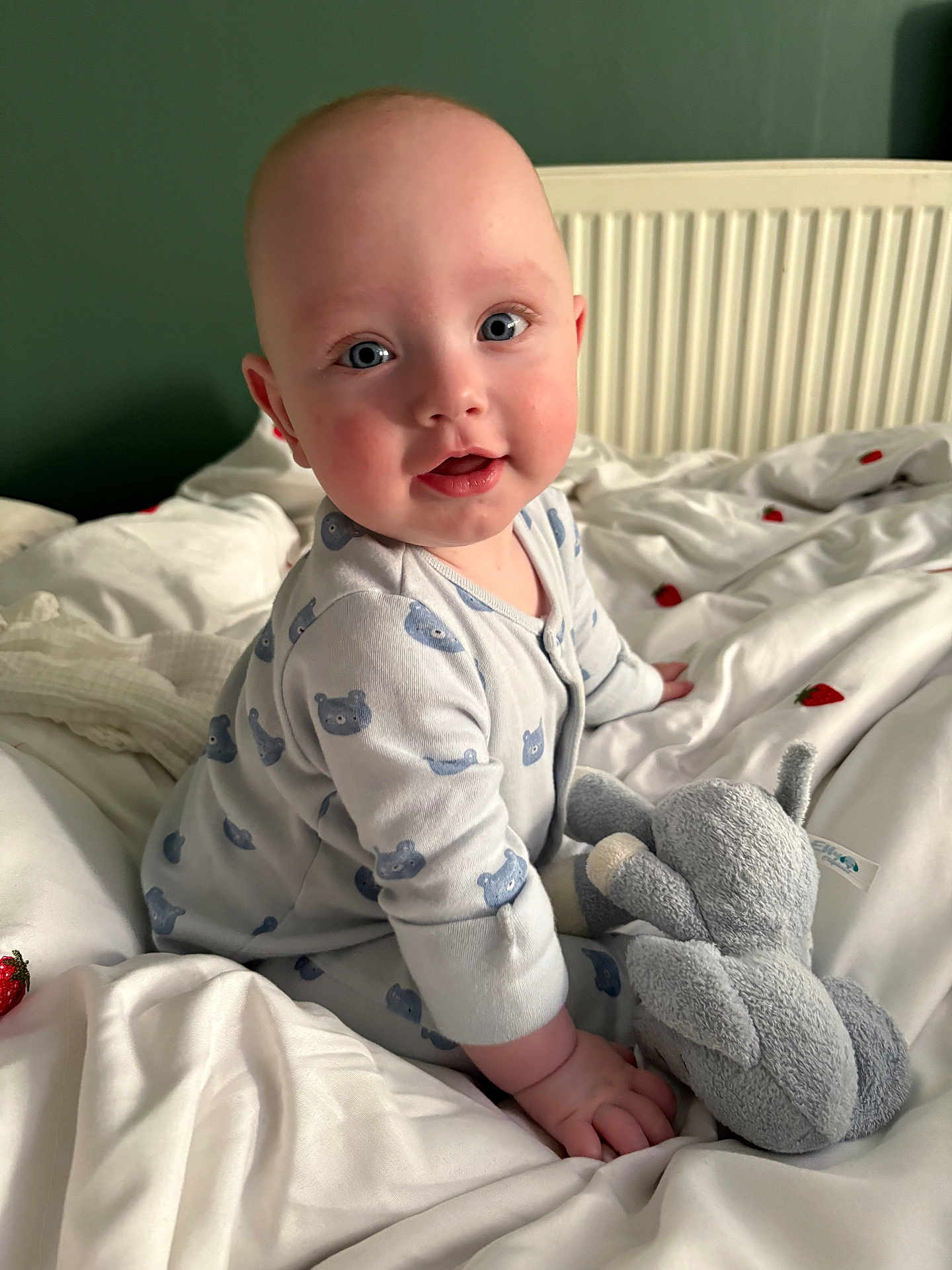 Hugo is registered to the contest to win money with this photo: baby, infant, plush_toy, elephant_toy, bed, bedspread, strawberry_pattern, onesie, blue_eyes, face, hand, green_wall, radiator, white_bed, cute, child, person, indoor, smiling, sitting