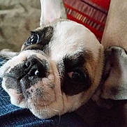 Janette participe au concours pour gagner de l'argent avec cette photo :