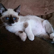 Luciole participe au concours pour gagner de l'argent avec cette photo :