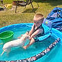 Noah is registered to the contest to win money with this photo: animal, backyard, blue, chair, child, dog, fun, grass, inflatable, kid, outdoor, pet, pirate, play, pool, summer, sunlight, swimsuit, swing, water