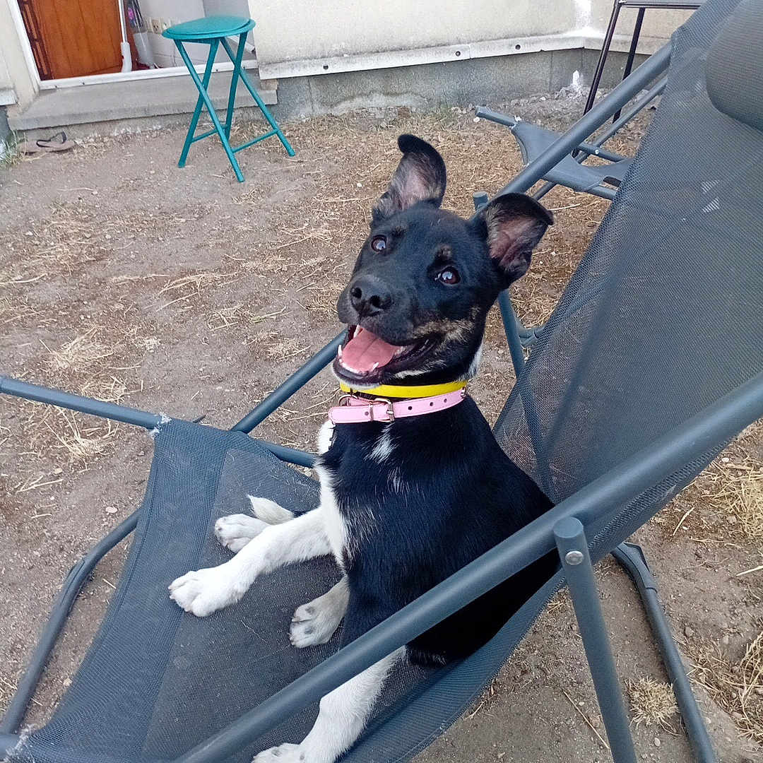 Kaia