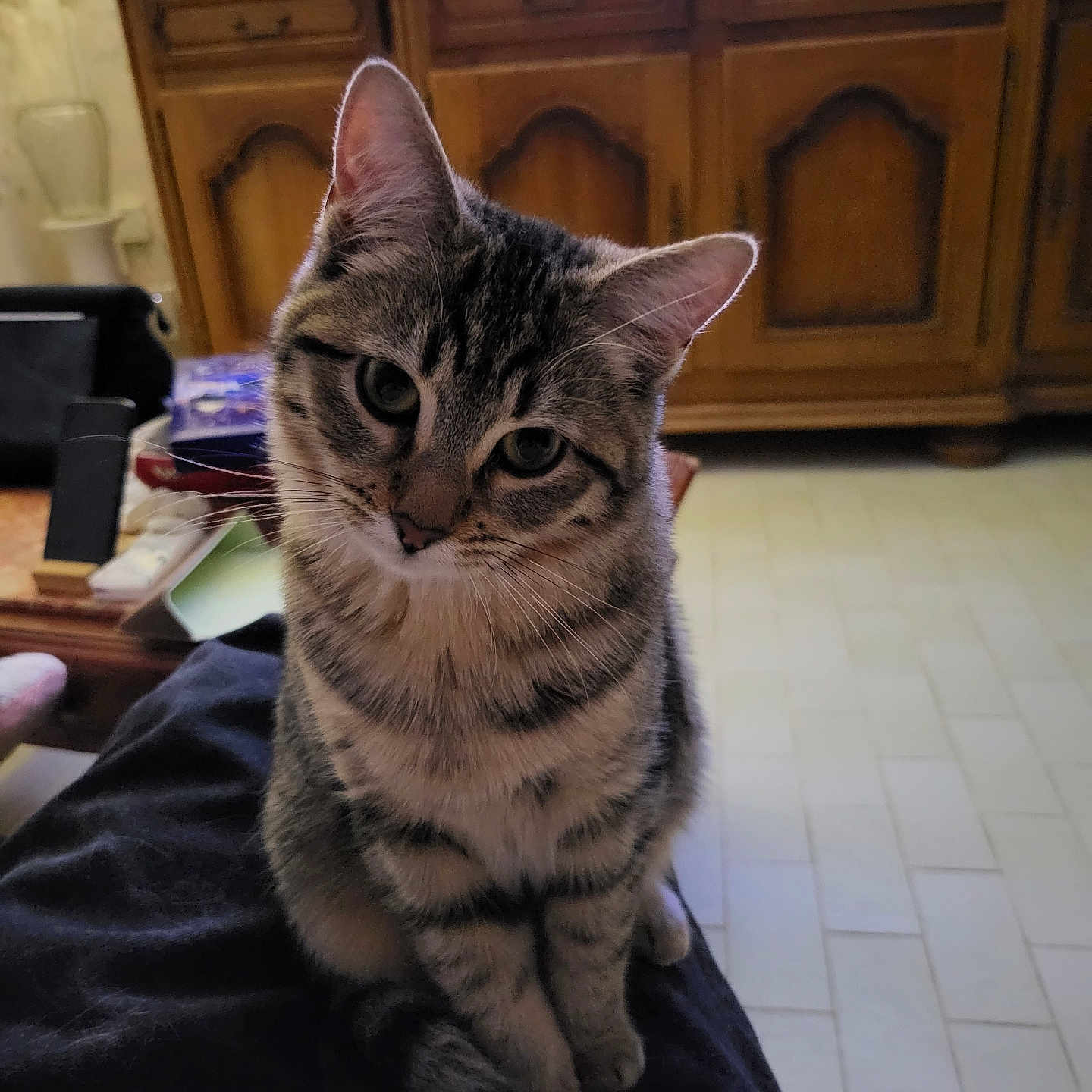 Phiby