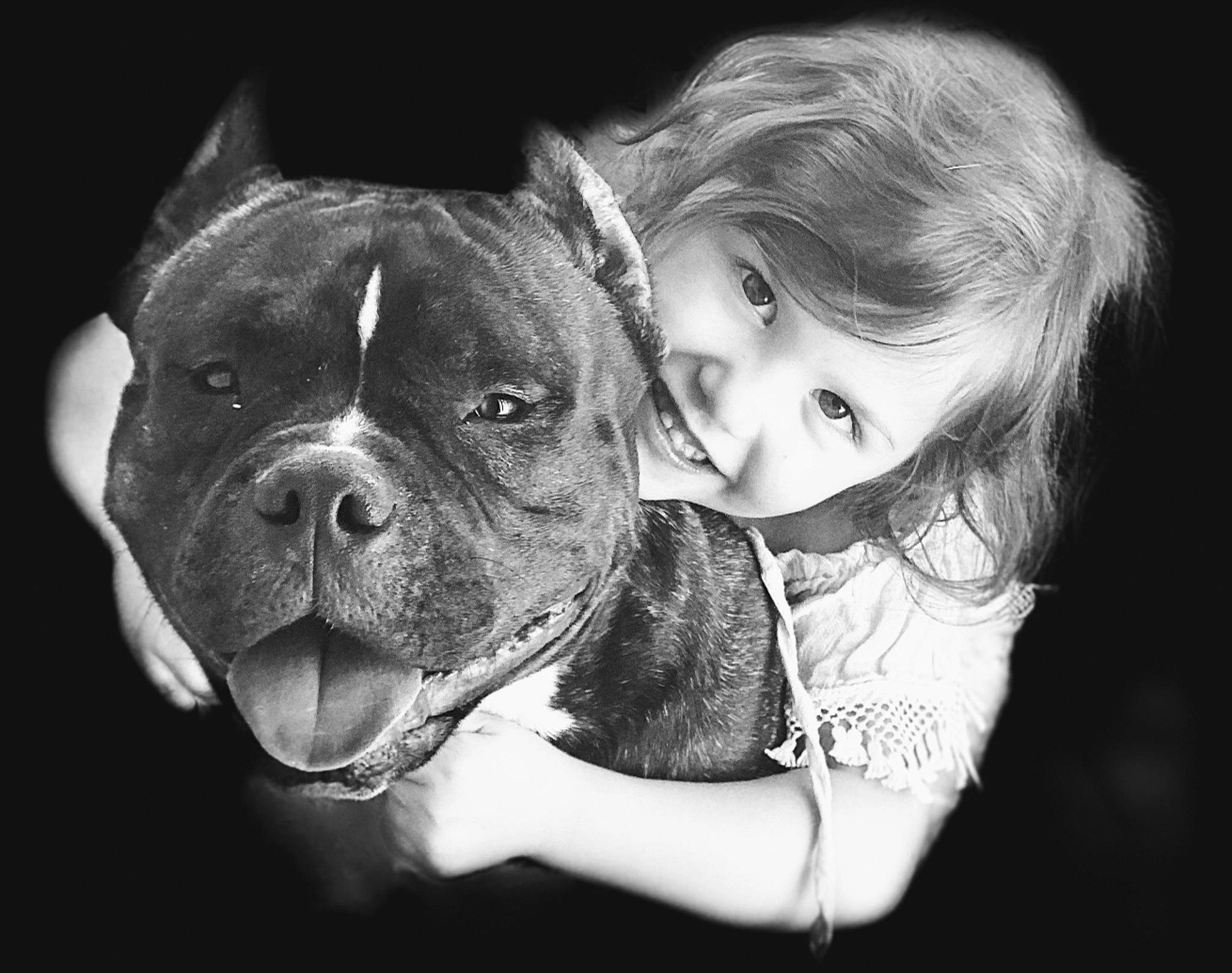 Ywenn a rejoint le concours — aidez-le/la à gagner de superbes lots ! bulldog, canidae, carnivore, collar, companion_dog, dog, dog_breed, fawn, flash_photography, joy, love, molosser, monochrome_photography, non_sporting_group, old_english_bulldog, person, portrait_photography, skin, snout, whiskers