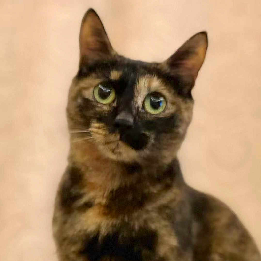 Peanut
