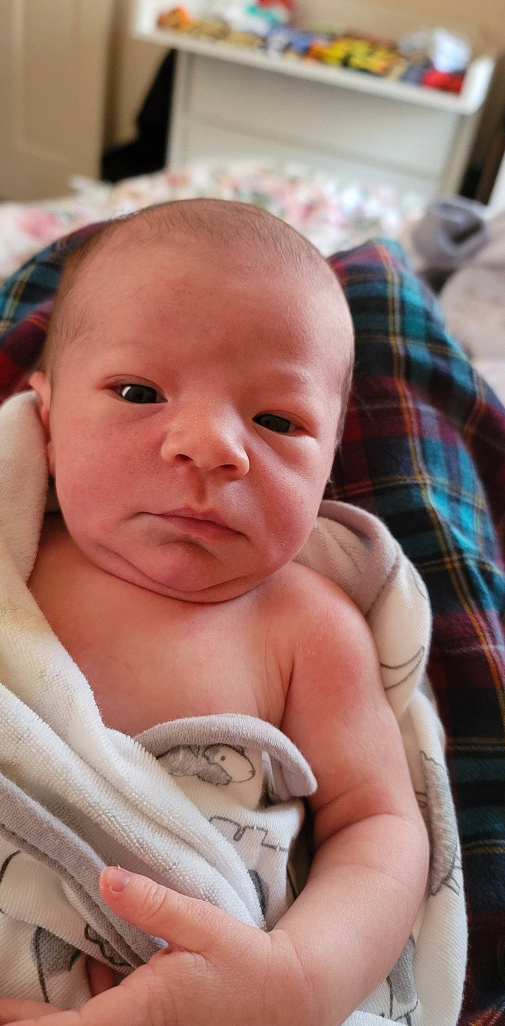 Cypress joined the competition — help win amazing prizes! baby, cheek, chin, comfort, eye, eyebrow, forehead, iris, lip, mammal, mouth, neck, nose, person, plaid, product, skin, smile, tartan, thumb