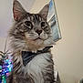 cat, fluffy, bow_tie, indoor, portrait, animal, feline, whiskers, green_eyes, holiday_lights, decor, domestic_cat, close_up, pet, cute, tabby, soft_fur, christmas_tree, background, cozy