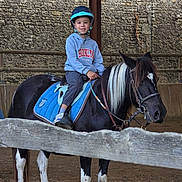 Djayden a rejoint le concours — aidez-le/la à gagner de superbes lots ! child, helmet, horse, animal, riding, stable, fence, stone_wall, blue_saddle, hoodie, smile, outdoor, barn, young, person, equine, casual_clothing, footwear, leisure, adventure