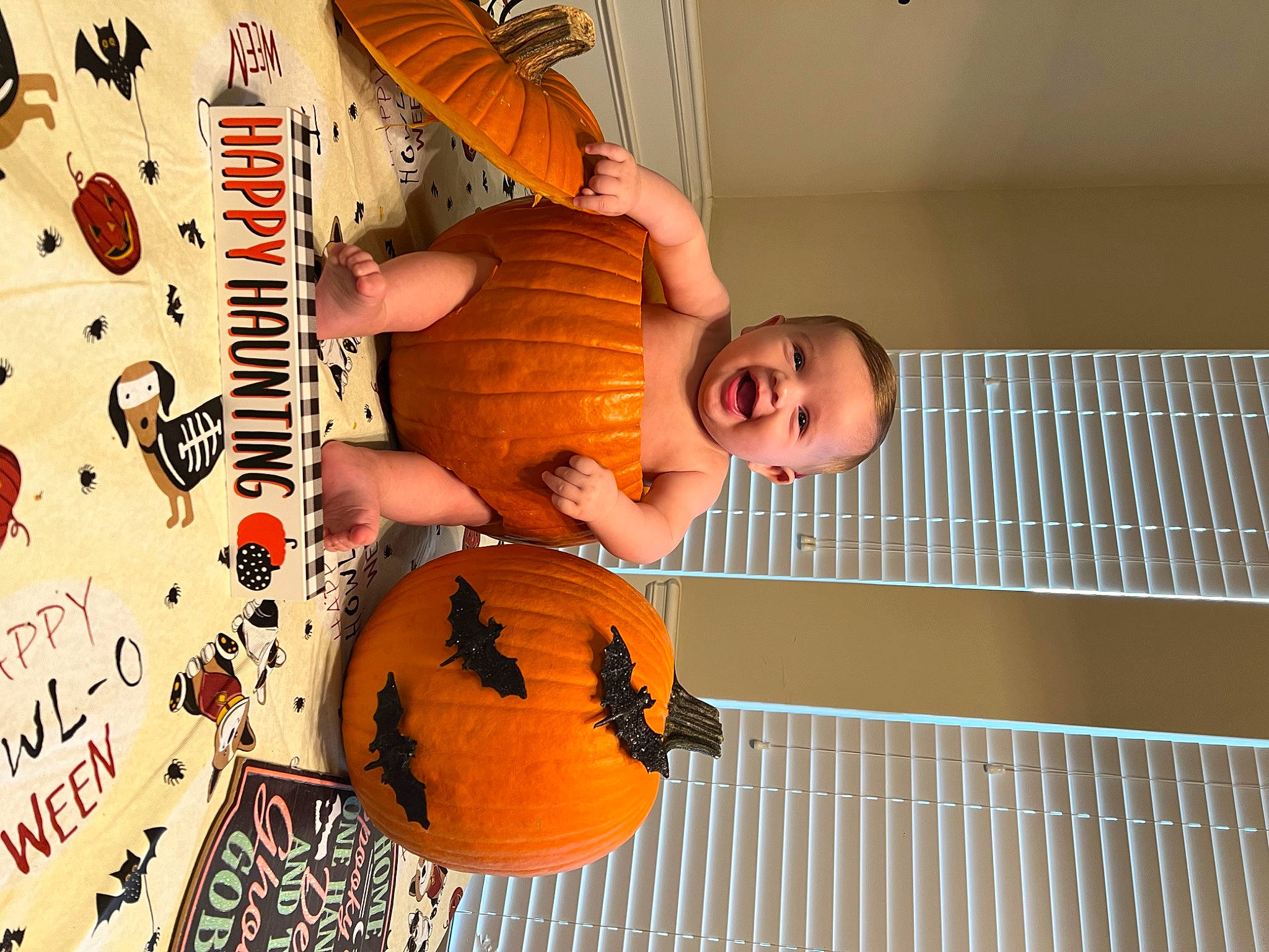 Liam is registered to the contest to win money with this photo: ball, calabaza, child, comfort_food, drum, font, fun, gourd, happy, jack_o_lantern, orange, person, room