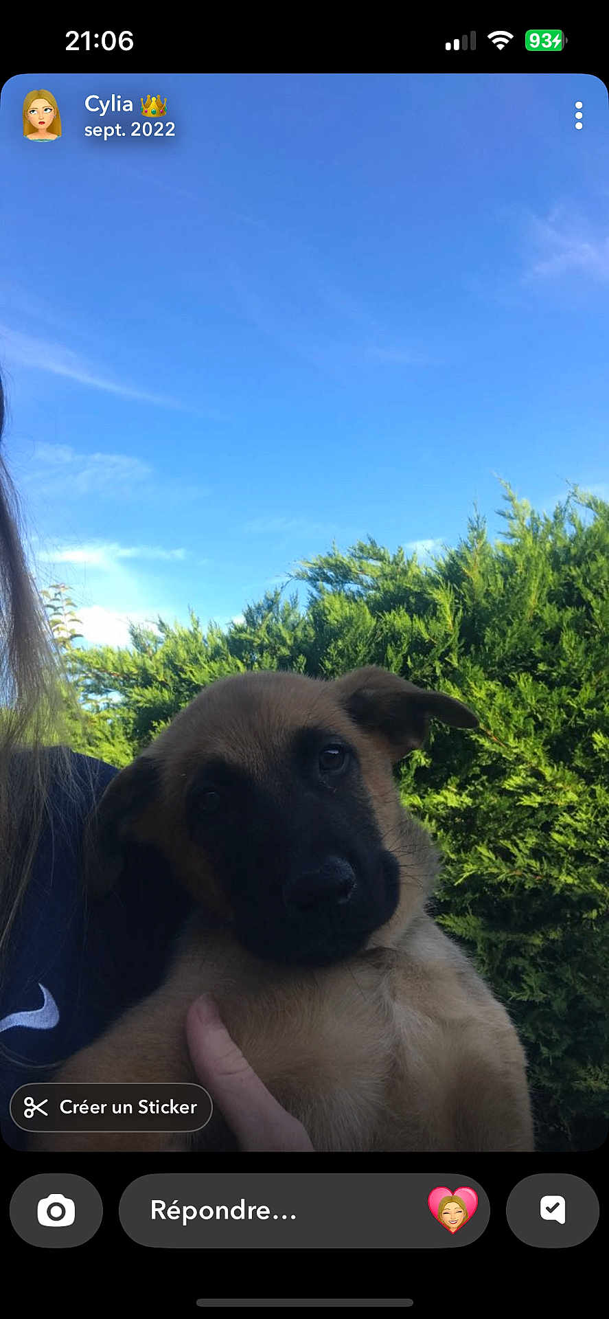 Pickles a rejoint le concours — aidez-le/la à gagner de superbes lots ! puppy, dog, animal, pet, outdoor, sky, greenery, bushes, person, hand, portrait, nature, cute, young, face, fur, ears, daylight, blue_sky, holding