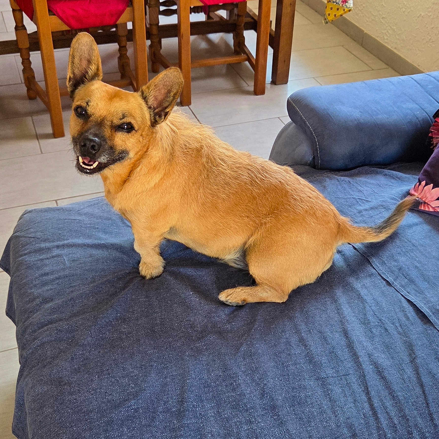 Léo