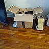 animal, box_flaps, brown, cardboard_box, cat, container, cozy, curious, domestic, feline, flooring, home, indoor, living_room, orange_cat, peeking, pet, quiet, still_life, wooden_floor