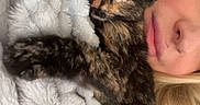 Maki participe au concours pour gagner de l'argent avec cette photo : cat, kitten, tortoiseshell, sleeping, person, face, blonde_hair, blanket, furry_blanket, cuddling, cozy, indoors, bed, relaxed, pet, whiskers, ears, closeup, portrait, nap