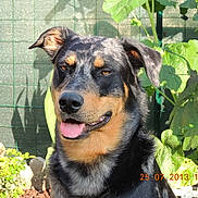 Brayan a rejoint le concours — aidez-le/la à gagner de superbes lots !