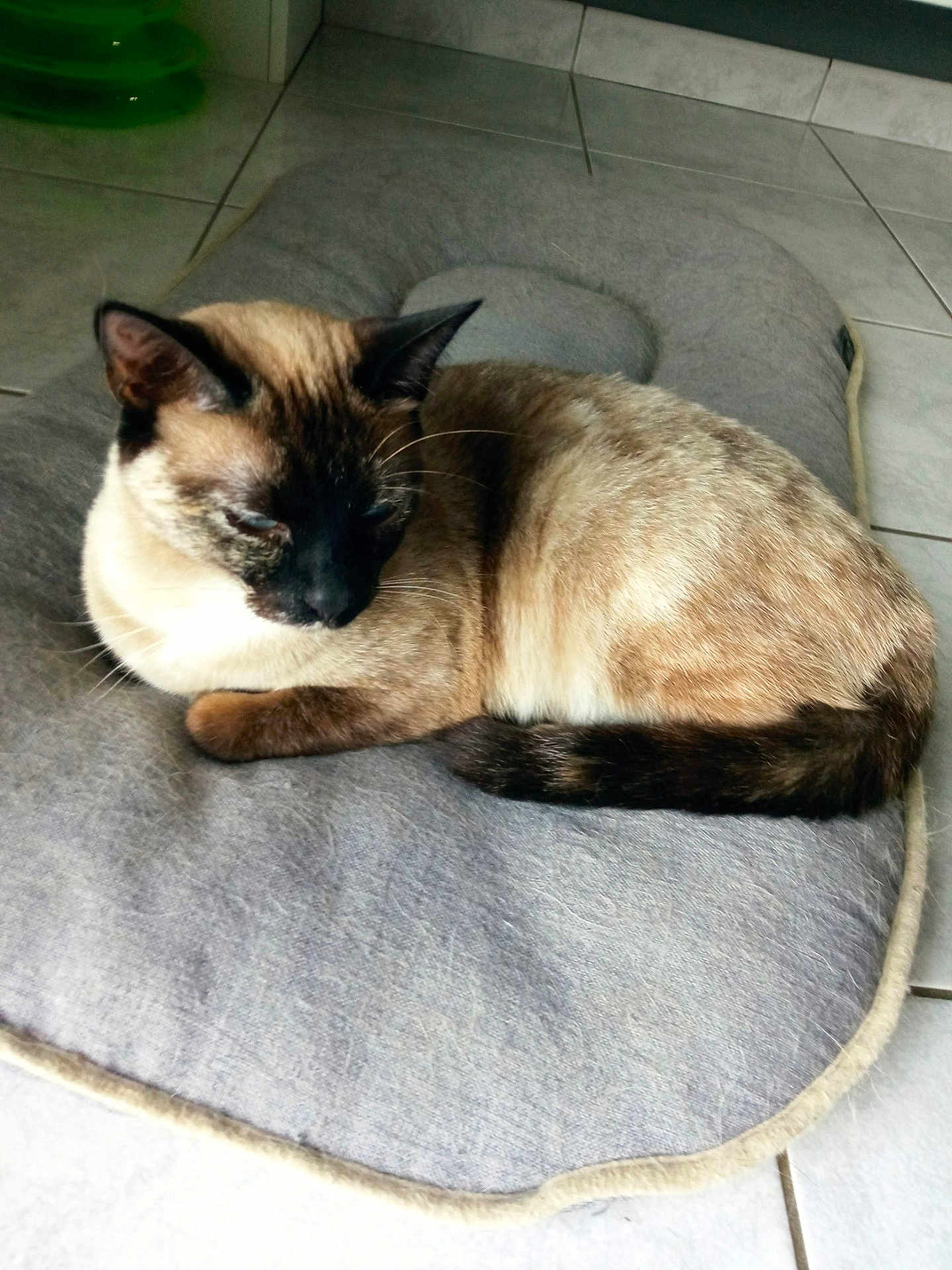 Doudette