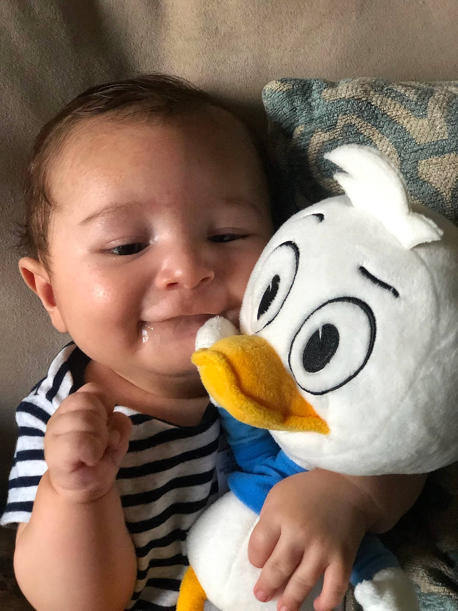 Nikolas is registered to the contest to win money with this photo: baby, cheek, child, joy, nose, person, plush, stuffed_toy, toddler, toy