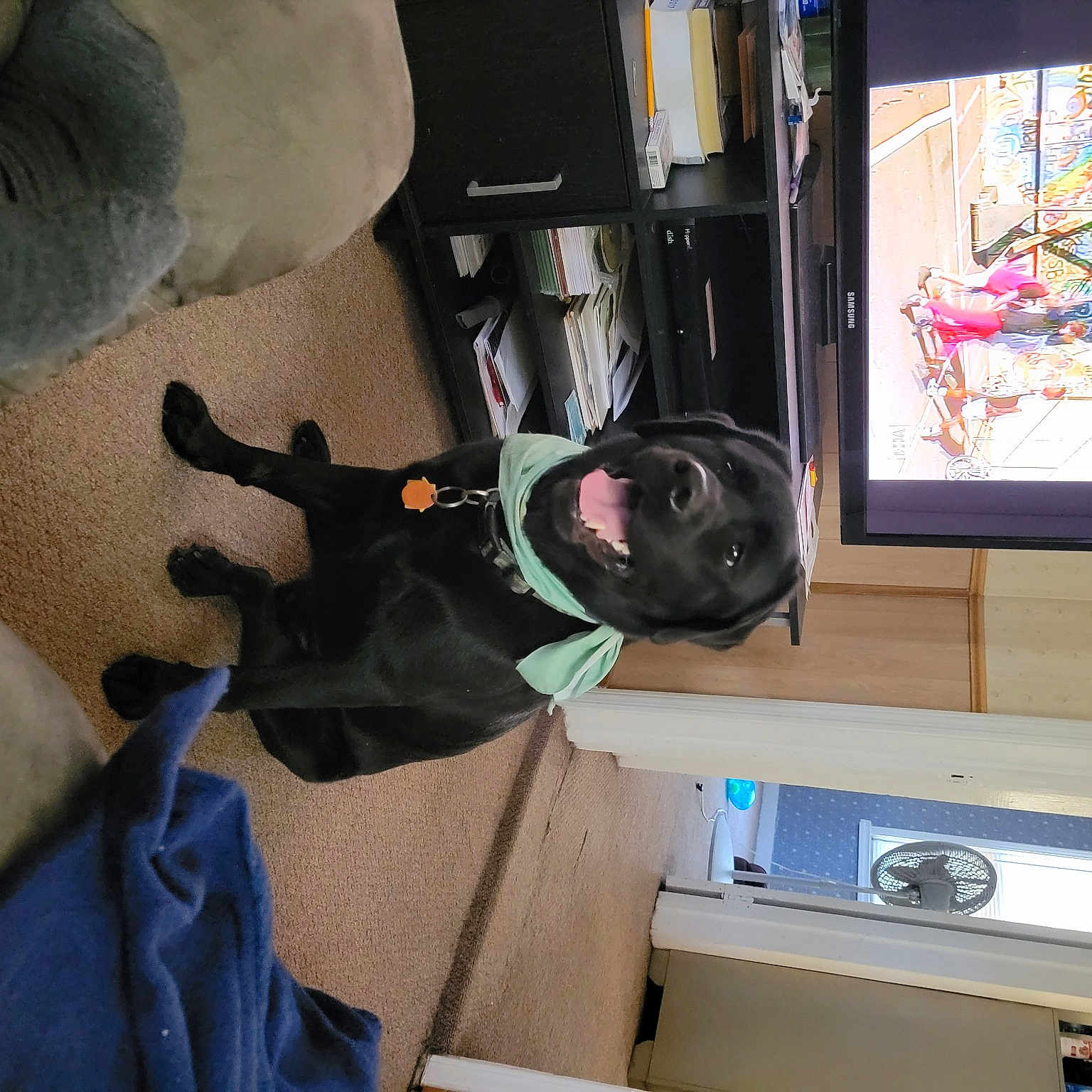 Roscoe