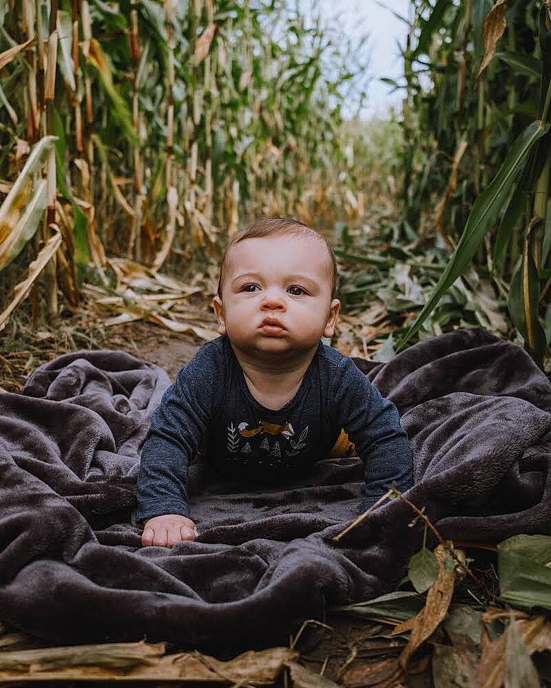 Jaymie is registered to the contest to win money with this photo: adaptation, child, eye, face, forest, grass, jungle, leaf, male, people, person, photography, plant, sitting, smile, toddler, tree, wood