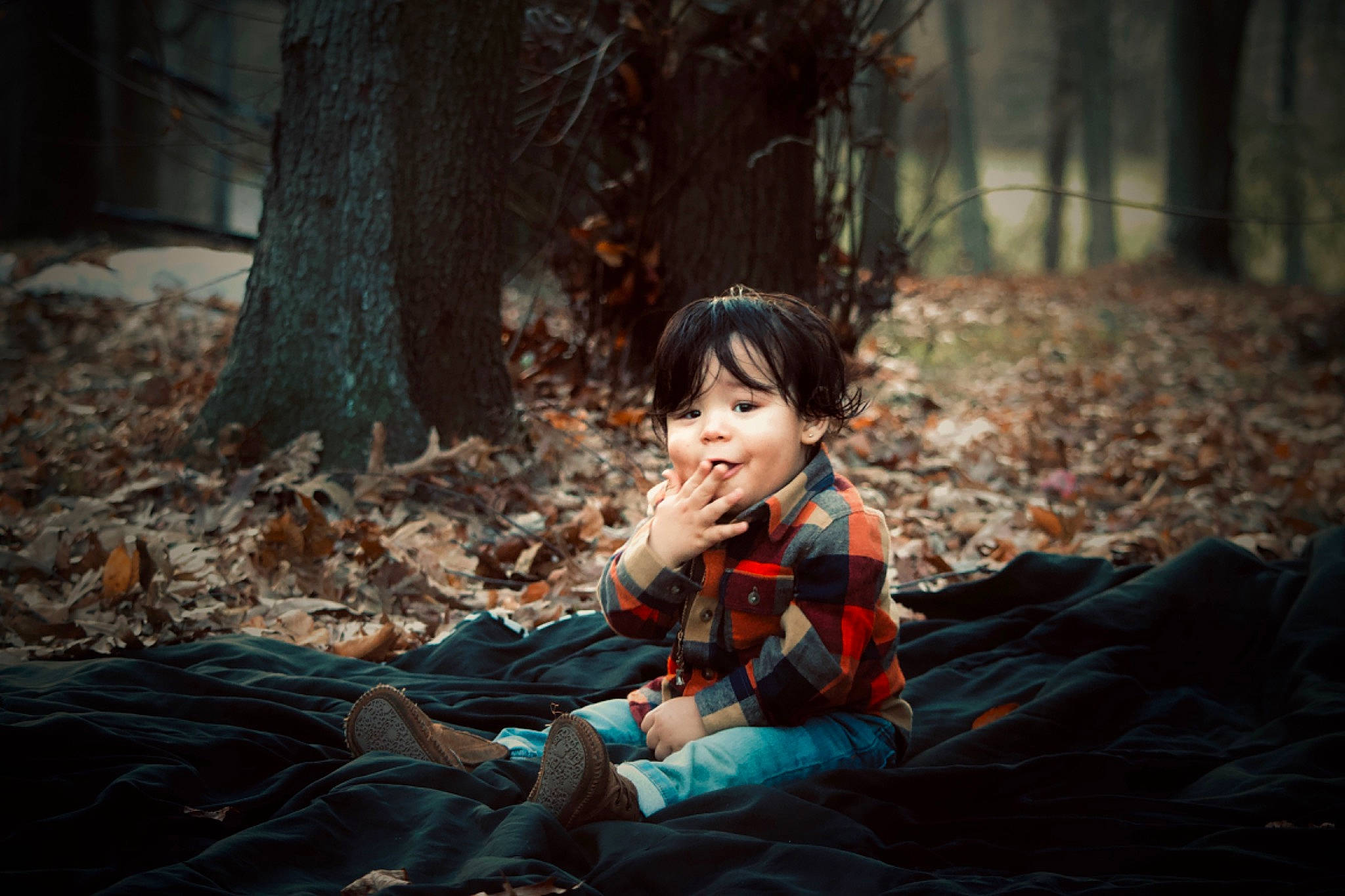 Kymani joined the competition — help win amazing prizes! autumn, beauty, child, eye, forest, leaf, natural_environment, people_in_nature, person, photography, plant, portrait_photography, sitting, sunlight, toddler, tree, wood, woodland