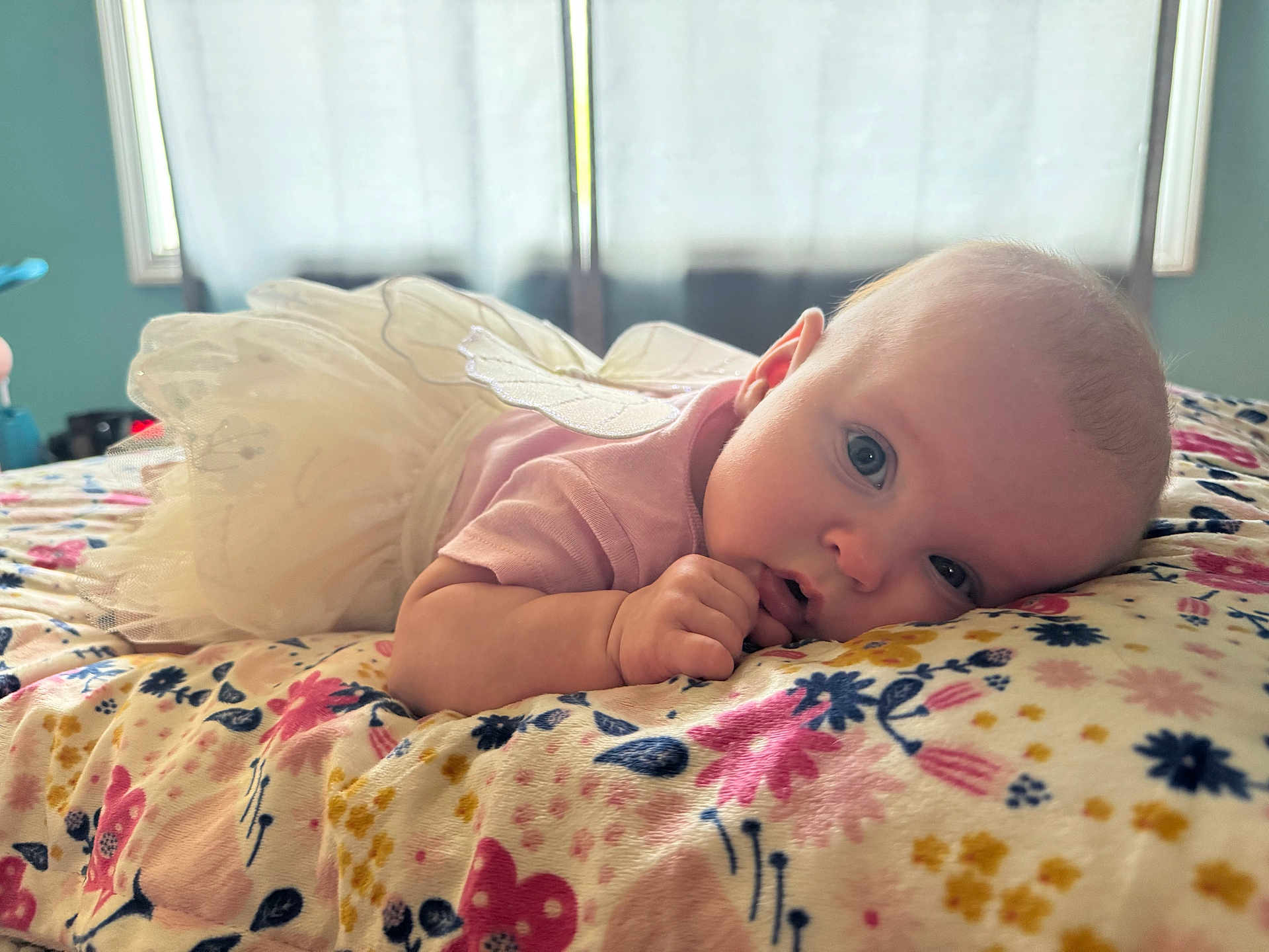 Olivia joined the competition — help win amazing prizes! baby, infant, tutu, fairy_wings, blanket, floral_pattern, blue_eyes, cute, soft_light, window, bedroom, lying_down, pink_clothing, hand, face, portrait, indoor, child, curious, closeup