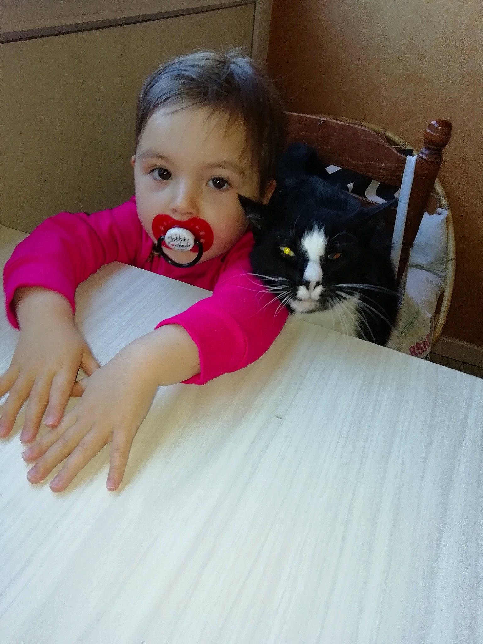 Gribouille participe au concours pour gagner de l'argent avec cette photo : baby, cat, cheek, child, eye, face, facial_expression, felidae, finger, head, iris, leg, mouth, nose, person, pink, play, skin, small_to_medium_sized_cats, smile