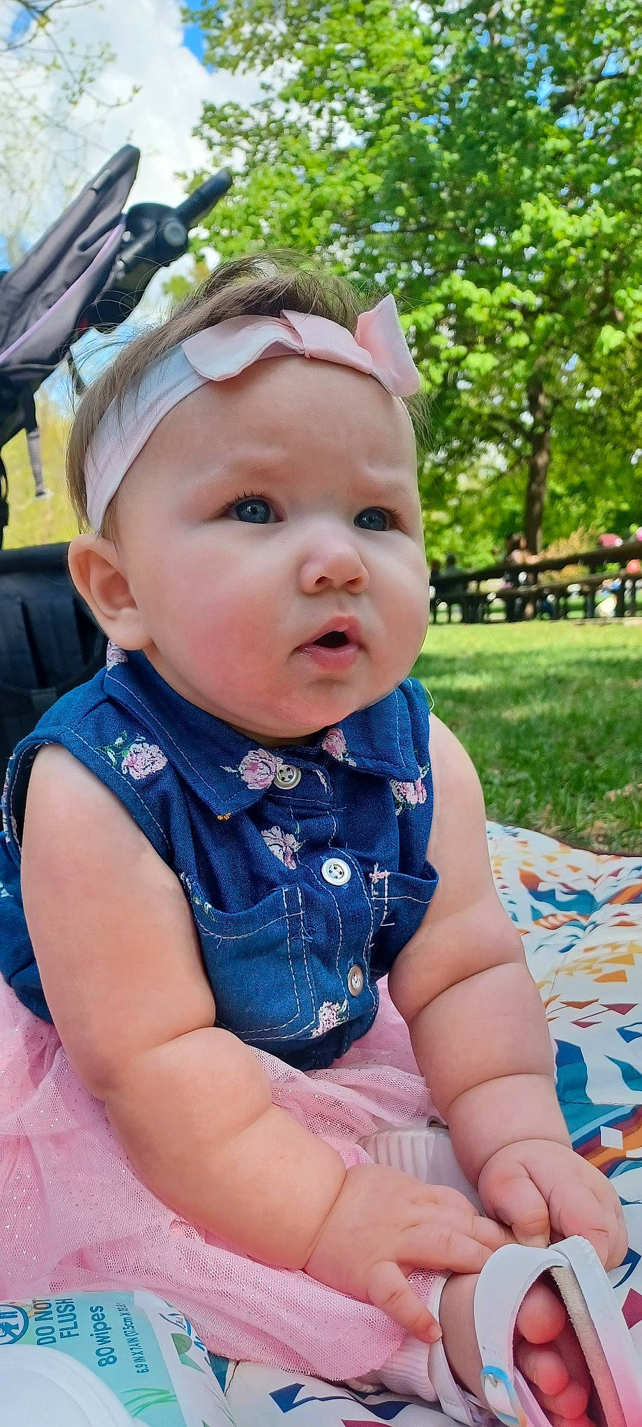 Bobbie joined the competition — help win amazing prizes! baby, baby_toddler_clothing, child, electric_blue, eye, fashion_accessory, fun, grass, happy, headwear, iris, leisure, person, pink, plant, public_space, recreation, sitting, skin, toddler