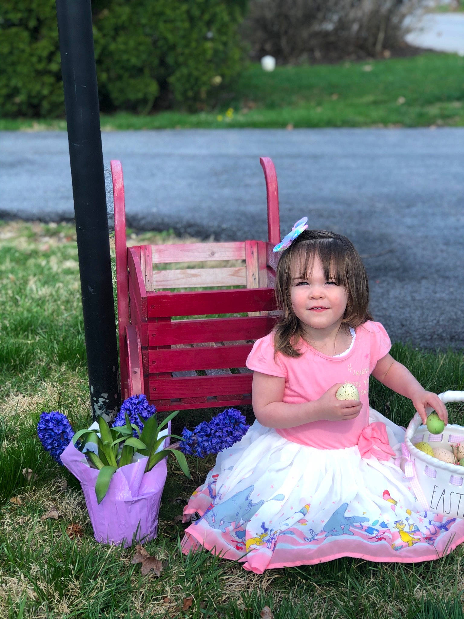 Saoirse is registered to the contest to win money with this photo: baby_toddler_clothing, botany, dress, fun, grass, grass_family, happy, joy, leisure, magenta, morning, people_in_nature, person, photograph, pink, plant, public_space, purple, summer, toddler