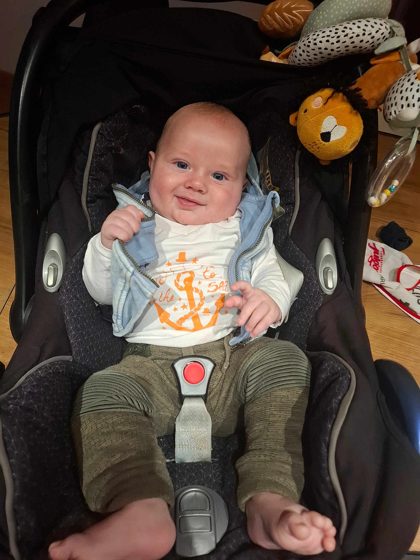 Tommy a rejoint le concours — aidez-le/la à gagner de superbes lots ! baby, car_seat, smile, clothing, toy, plush, lion, floor, indoor, child, person, seatbelt, foot, hand, cute, infant, happy, blue_eyes, jacket, pants