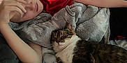 Zaniel is registered to the contest to win money with this photo: child, cat, blanket, plush_toy, sleeping, resting, indoor, bed, red_shirt, fur, pet, cozy, relaxing, comfort, curtains, window_light, face, hand, furniture, casual