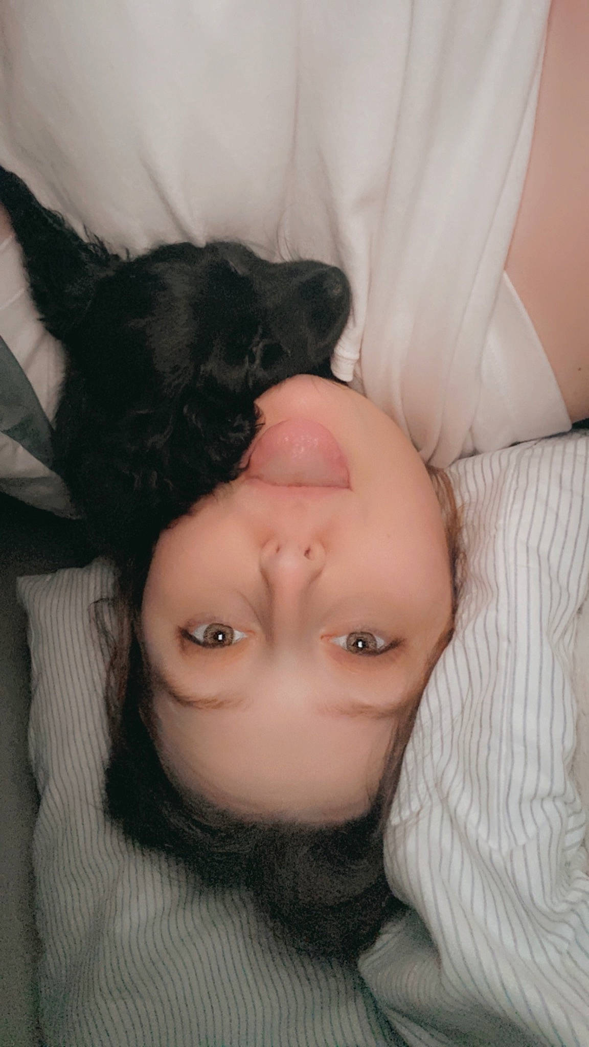 Aggie is registered to the contest to win money with this photo: beauty, black_hair, comfort, companion_dog, dress, ear, eye, eyelash, gesture, glasses, hair, happy, headgear, human_body, human_leg, iris, jaw, long_hair, textile, whiskers