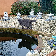 Enya participe au concours pour gagner de l'argent avec cette photo :