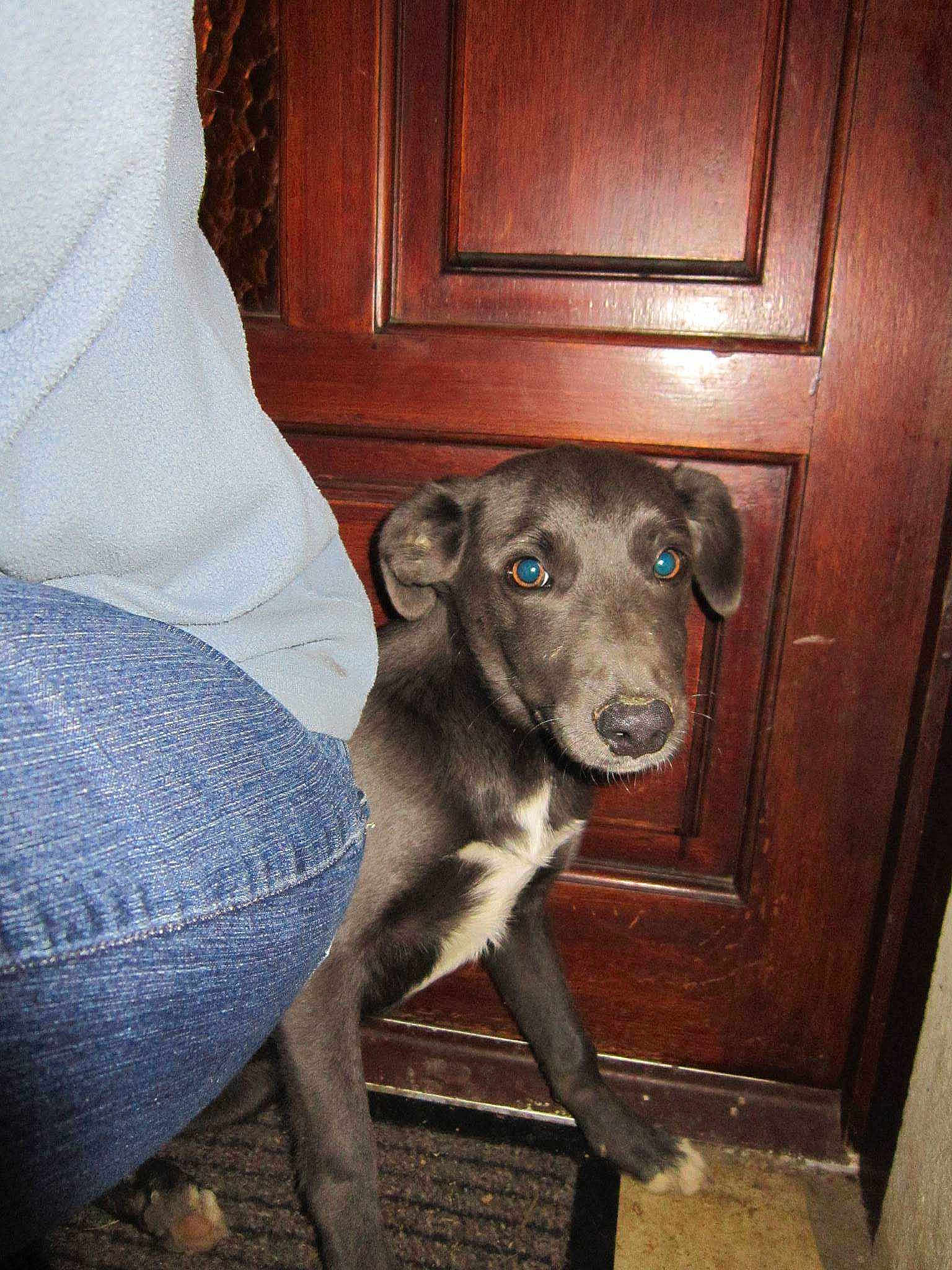 Jenny
