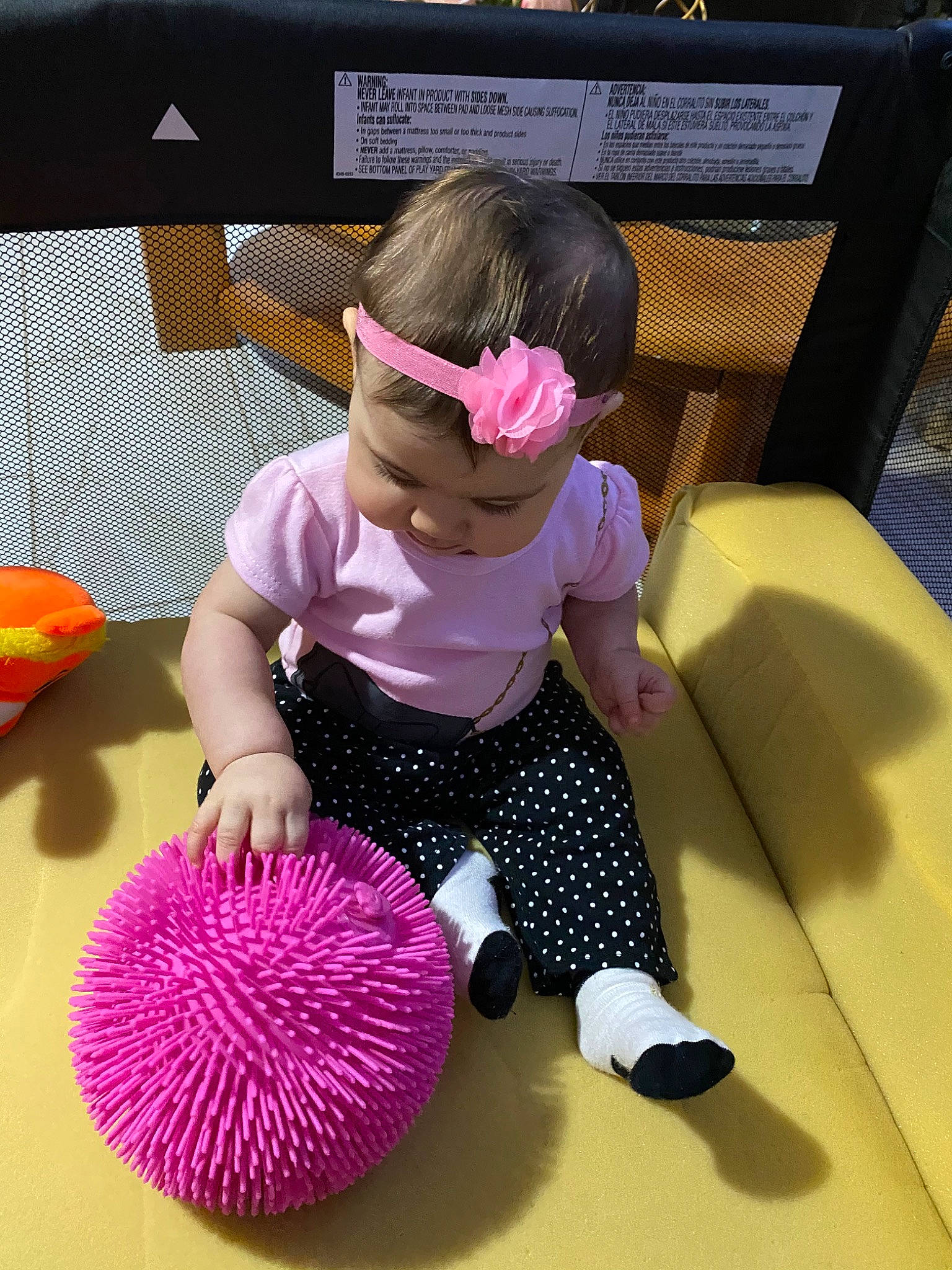 Aurora Alfonso joined the competition — help win amazing prizes! baby, ball, child, furniture, pattern, person, pink, plant, play, purple, room, toddler, toy, violet