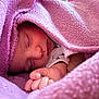 baby, newborn, sleeping, blanket, pink, cozy, soft, infant, peaceful, cute, hand, closeup, rest, warm, portrait, child, sleep, toddler, wrapped, comfort