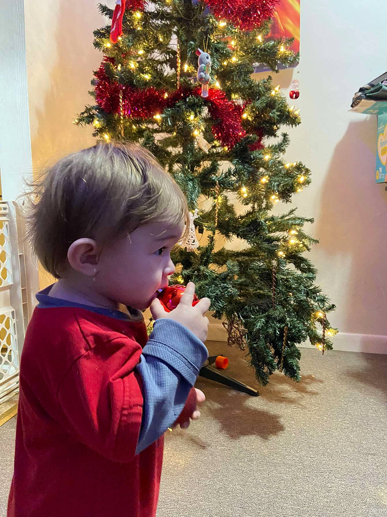 Elijah joined the competition — help win amazing prizes! child, christmas, christmas_decoration, christmas_eve, christmas_ornament, christmas_tree, conifer, event, evergreen, fun, happy, holiday, holiday_ornament, human_body, leaf, ornament, person, plant, standing, toddler