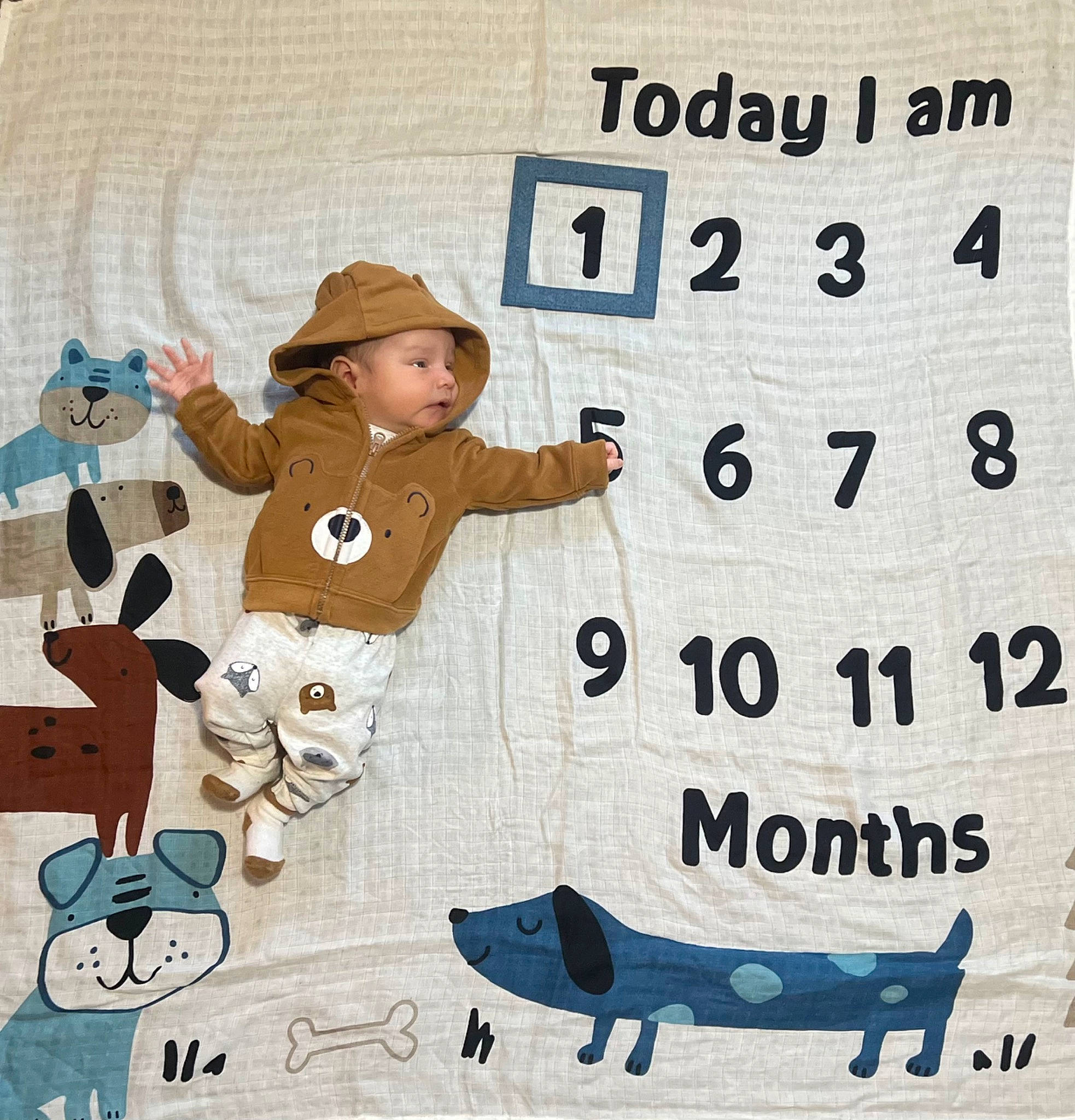 Axsel Jr is registered to the contest to win money with this photo: aircraft, art, baby, baby_toddler_clothing, cap, child, costume_hat, cowboy_hat, fedora, fictional_character, font, graphics, happy, hat, headwear, illustration, pattern, person, sun_hat, teddy_bear