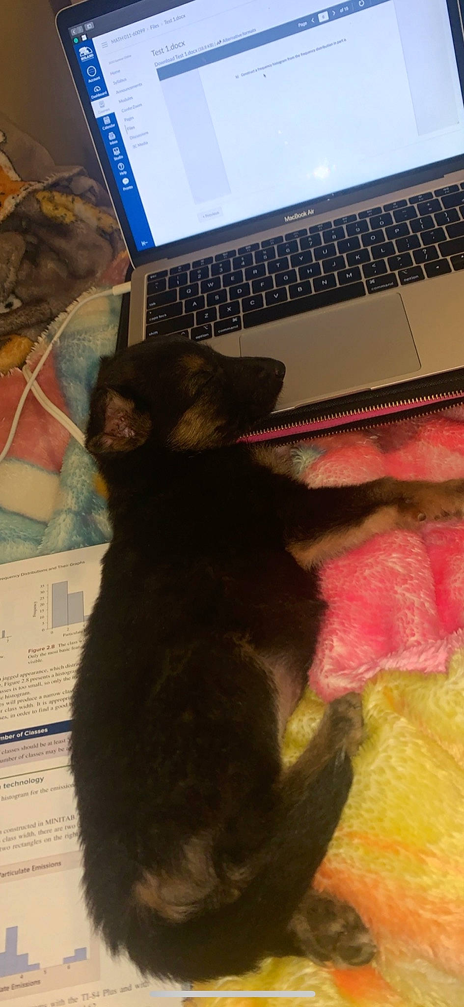 Leo joined the competition — help win amazing prizes! carnivore, computer_accessory, computer_hardware, dog_breed, electronic_device, flat_panel_display, input_device, laptop, laptop_accessory, laptop_part, netbook, office_equipment, output_device, peripheral, personal_computer_hardware, product, space_bar, technology, touchpad, vertebrate