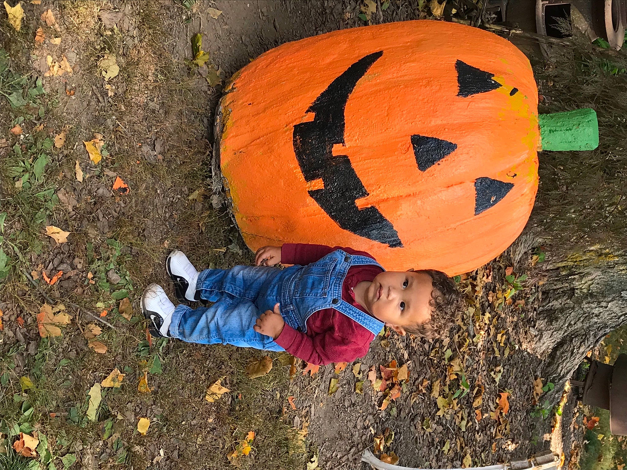 Javon is registered to the contest to win money with this photo: autumn, calabaza, child, jack_o_lantern, leaf, person, plant, pumpkin, tree, winter_squash, wood